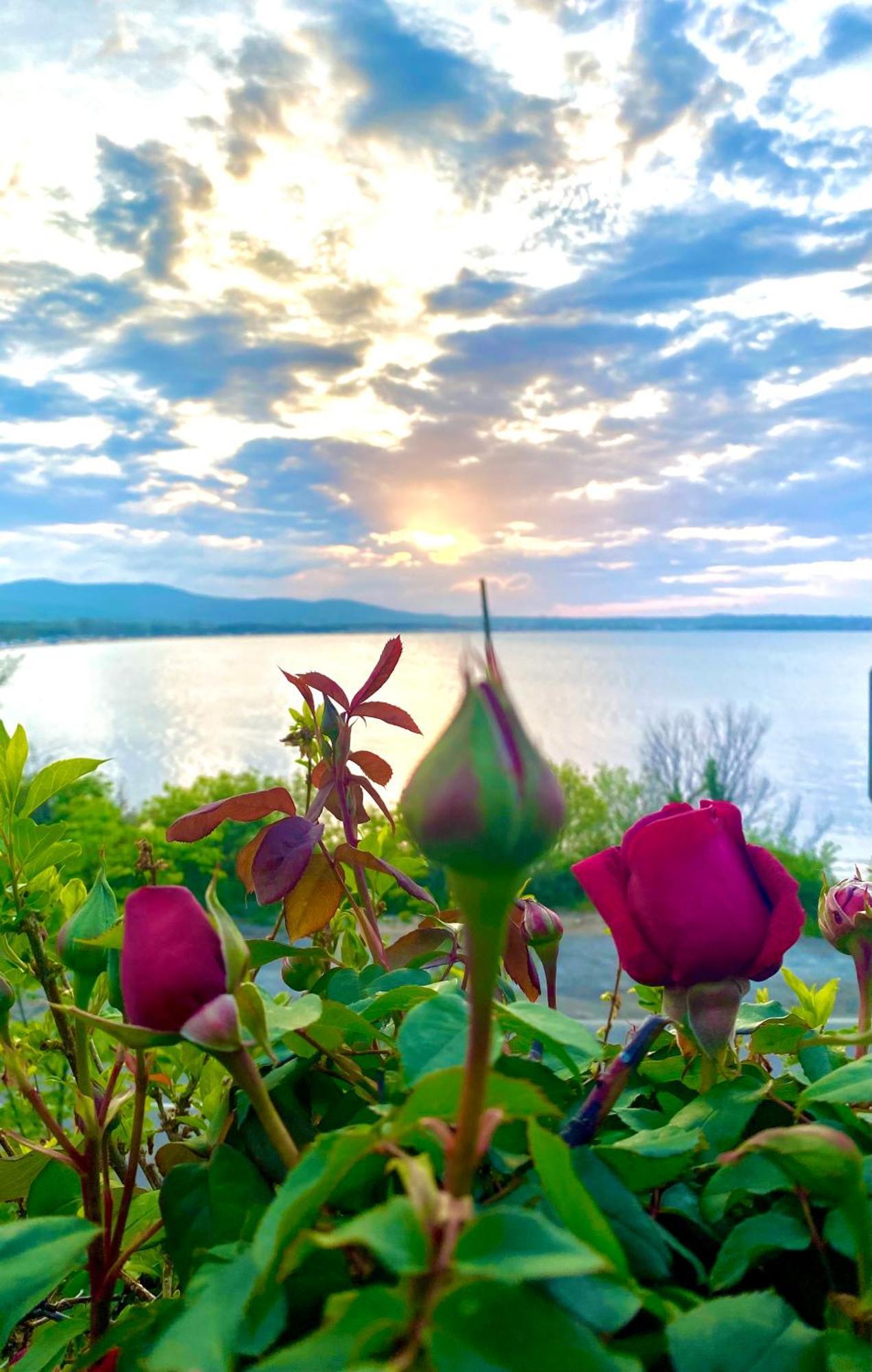 Aj Apartment 1 With Pool View, Santa Marina Holiday Village, Sozopol Bagian luar foto